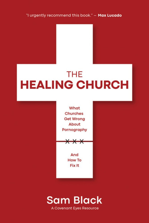 The Healing Church: What Churches Get Wrong about Pornography and How to Fix It (Paperback) The Healing Church: What Churches Get Wrong about Pornography and How to Fix It (Paperback)