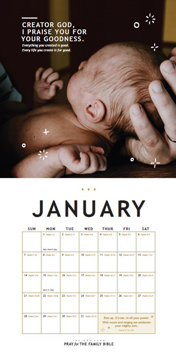 One Year Pray for the Family 2024 Calendar One Year Pray for the Family 2024 Calendar