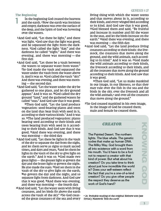 Rooted: The NIV Bible for Men, Leathersoft, Green, Comfort Print Rooted: The NIV Bible for Men, Leathersoft, Green, Comfort Print