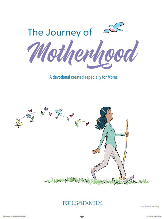 The Journey of Motherhood (Digital eBook) The Journey of Motherhood (Digital eBook)