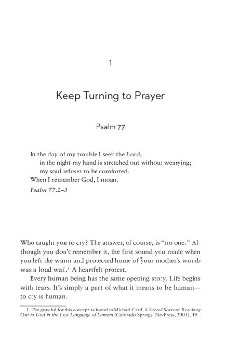 Dark Clouds, Deep Mercy: Discovering the Grace of Lament