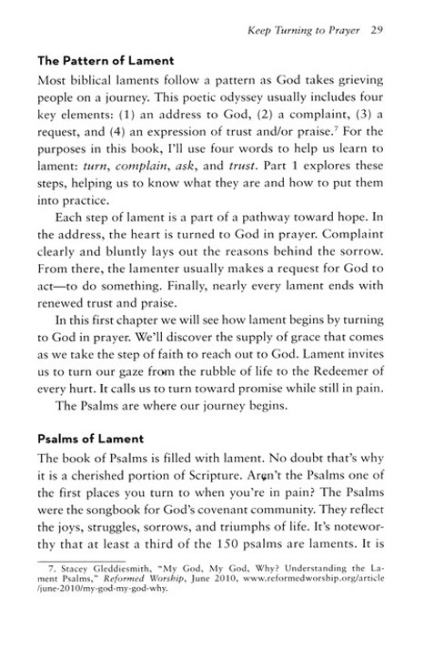 Dark Clouds, Deep Mercy: Discovering the Grace of Lament