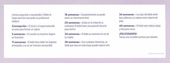 Los Primeros 9 Meses (The First 9 Months) Pocket Guide - Bundle of 500
