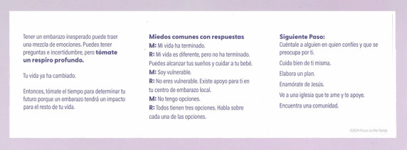 Eres Mas Valiente De Lo Que Piensas (You’re Braver Than You Think) Pocket Guide - Bundle of 500