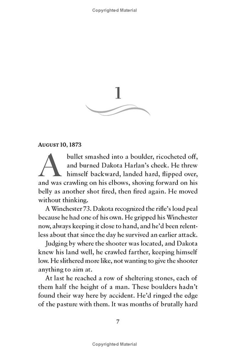 Into the Sunset Chapter 1