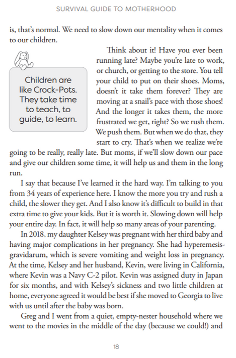 Survival Guide to Motherhood: The Parenting Pep Talk Every Christian Mom Needs