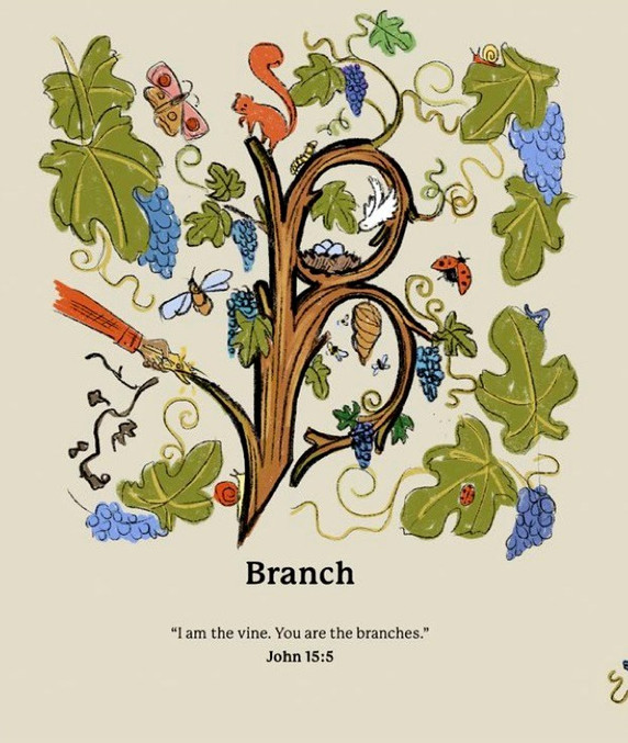 C Is for Christian Inside Look