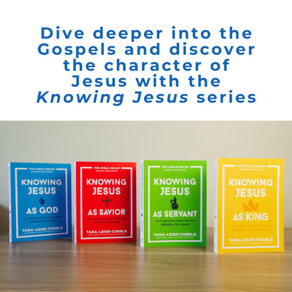 Knowing Jesus as Savior: A 10-Session Study on the Gospel of Luke (The Bible Recap Knowing Jesus) Knowing Jesus as Savior: A 10-Session Study on the Gospel of Luke (The Bible Recap Knowing Jesus)