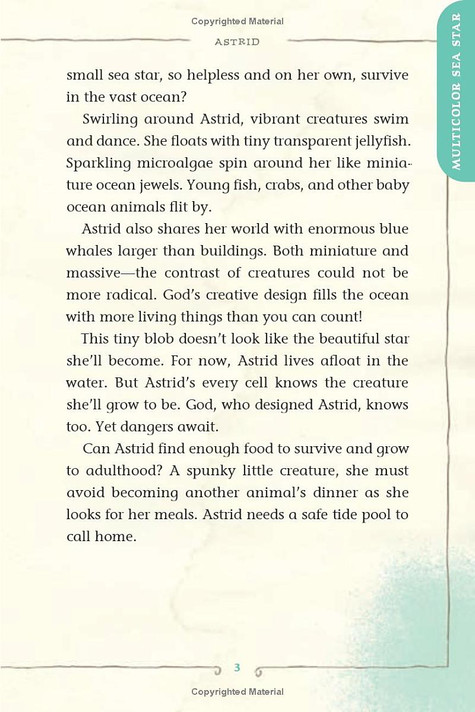 Wonders of the Ocean Realm Inside Look