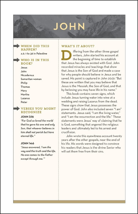 NIV Bible for Teen Guys, Hardcover: Building Faith, Wisdom and Strength NIV Bible for Teen Guys, Hardcover: Building Faith, Wisdom and Strength