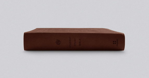 ESV Student Study Bible (Trutone, Chestnut) ESV Student Study Bible (Trutone, Chestnut)
