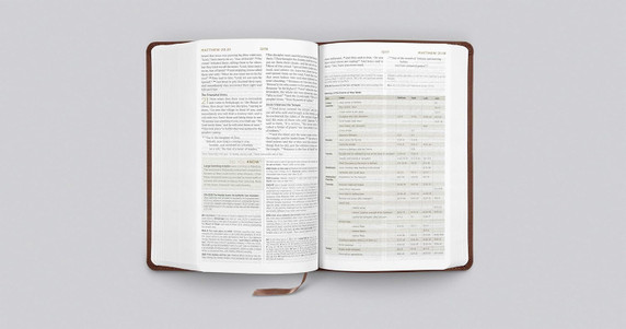 ESV Student Study Bible (Trutone, Chestnut) ESV Student Study Bible (Trutone, Chestnut)