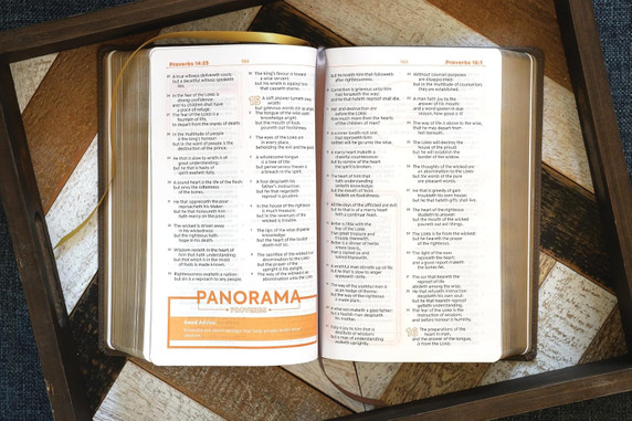 KJV, Teen Study Bible, Leathersoft, Brown, Comfort Print Inside Look