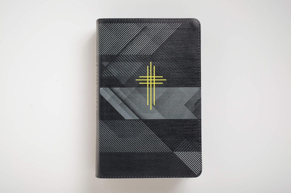 Boys Life Application Study Bible NLT, Tutone Front Cover