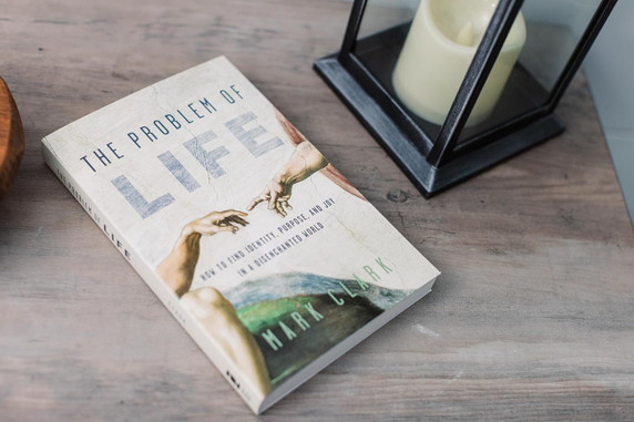The Problem of Life: How to Find Identity, Purpose, and Joy in a Disenchanted World The Problem of Life: How to Find Identity, Purpose, and Joy in a Disenchanted World