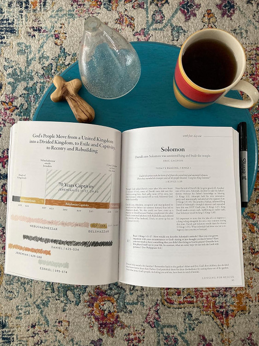 40 Days Through the Bible: The Answers to Your Deepest Longings 40 Days Through the Bible: The Answers to Your Deepest Longings