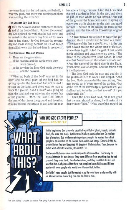 The Action Bible Study Bible ESV Inside Look