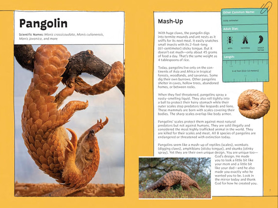 Quirky Critter Devotions Inside Look