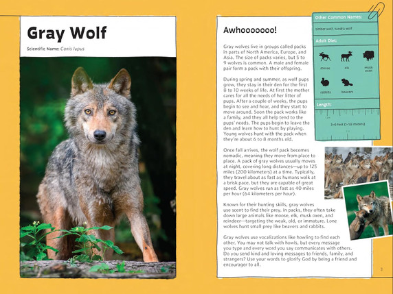 Quirky Critter Devotions: 52 Wild Wonders for Kids Quirky Critter Devotions: 52 Wild Wonders for Kids
