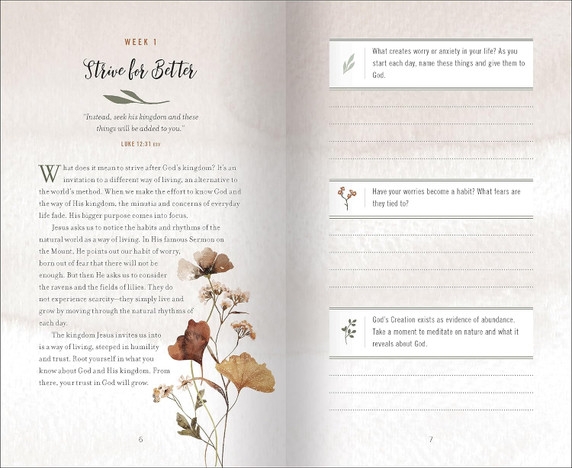 The Weekly Habits Project Inside Look