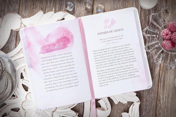 I Love You Already: 40 Weekly Devotions for the Expectant Mother I Love You Already: 40 Weekly Devotions for the Expectant Mother