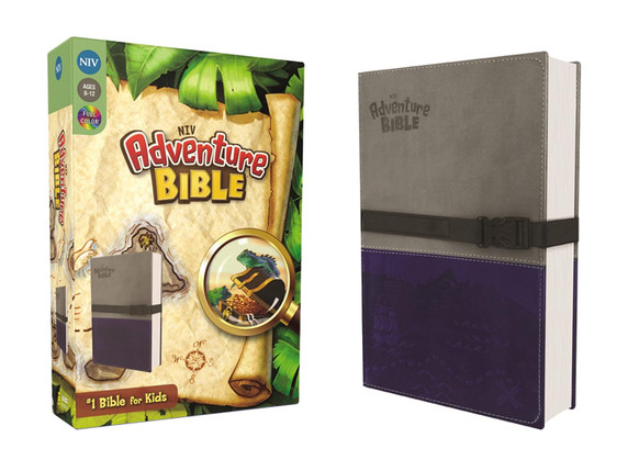 Adventure Bible, NIV (Revised) (Gray)