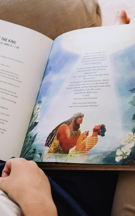 The Kingdom and the King Storybook Bible