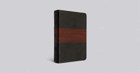 ESV Large Print Personal Size Bible (Trutone, Forest/Tan, Trail Design)