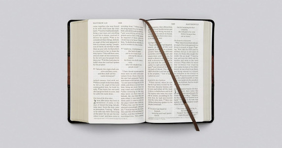 ESV Large Print Personal Size Bible (Trutone, Forest/Tan, Trail Design) ESV Large Print Personal Size Bible (Trutone, Forest/Tan, Trail Design)