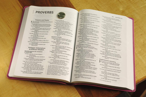 NIV, Value Thinline Bible, Large Print, Leathersoft, Pink NIV, Value Thinline Bible, Large Print, Leathersoft, Pink