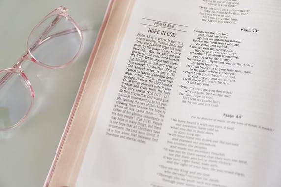 The Jesus Bible, NIV Edition, Pink Inside Look The Jesus Bible, NIV Edition, Pink Inside Look