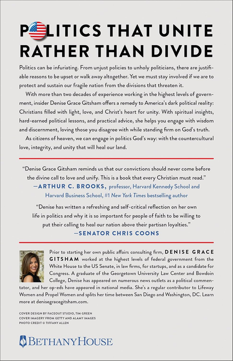 Politics for People Who Hate Politics Back Cover