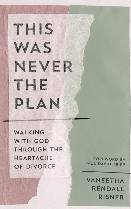 This Was Never the Plan Front Cover