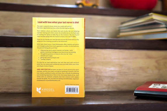How to Stop Yelling up the Stairs Back Cover
