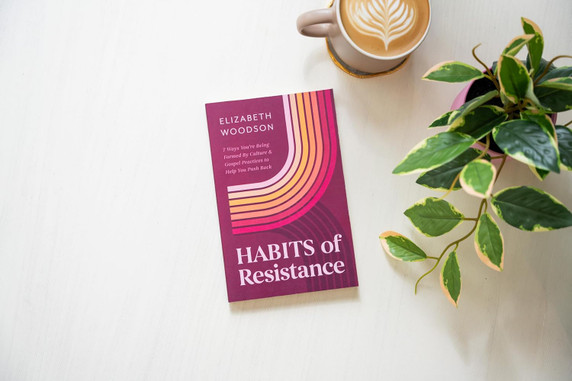 Habits of Resistance Front Cover