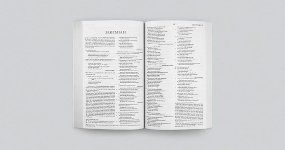 ESV Economy Bible