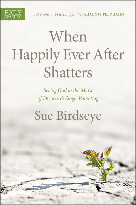 When Happily Ever After Shatters: Seeing God in the Midst of Divorce & Single Parenting When Happily Ever After Shatters: Seeing God in the Midst of Divorce & Single Parenting