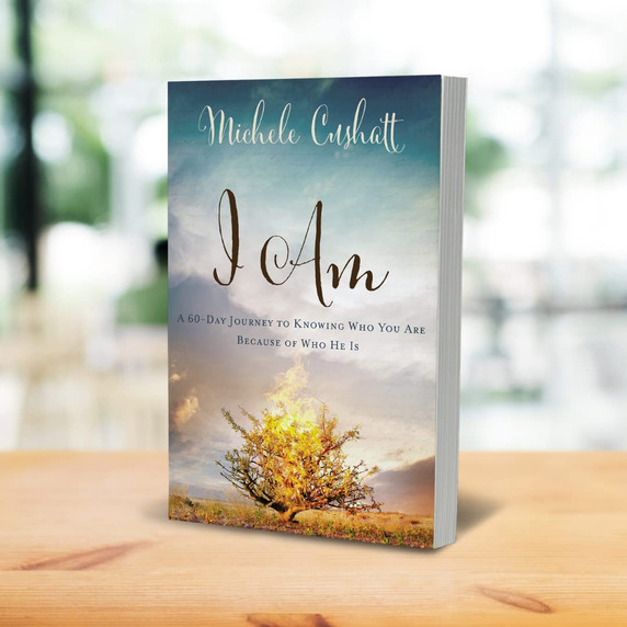 I Am: A 60-Day Journey to Knowing Who You Are Because of Who He Is I Am: A 60-Day Journey to Knowing Who You Are Because of Who He Is