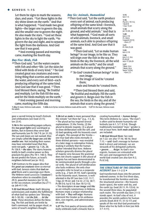 Illustrated Study Bible-NLT Illustrated Study Bible-NLT