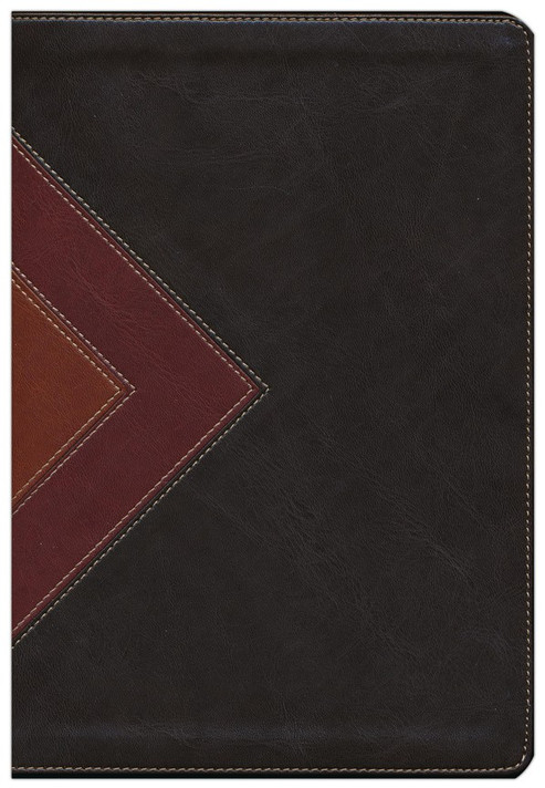 Illustrated Study Bible-NLT Illustrated Study Bible-NLT