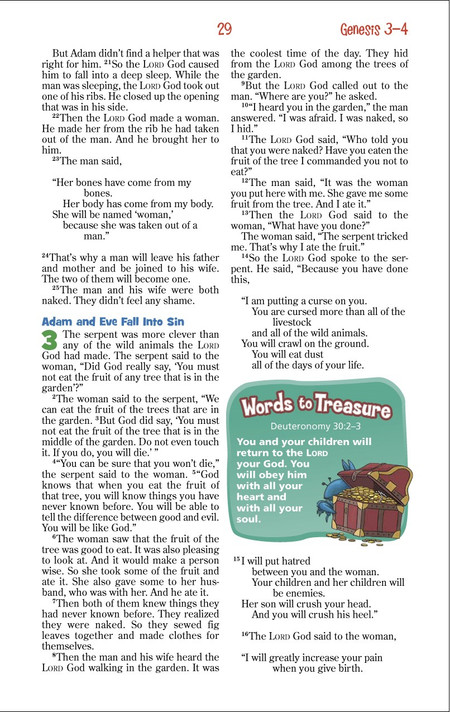 Adventure Bible for Early Readers-NIRV