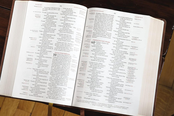 NIV, Thompson Chain-Reference Bible, Leathersoft, Brown, Red Letter, Comfort Print NIV, Thompson Chain-Reference Bible, Leathersoft, Brown, Red Letter, Comfort Print