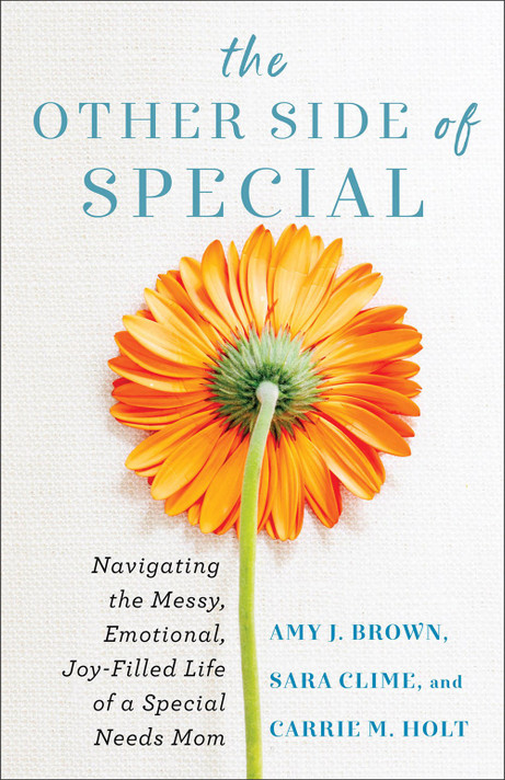 The Other Side of Special: Navigating the Messy, Emotional, Joy-Filled Life of a Special Needs Mom The Other Side of Special: Navigating the Messy, Emotional, Joy-Filled Life of a Special Needs Mom
