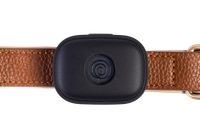 Image of Life360 Pet GPS - Black on a brown collar