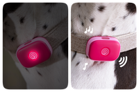 Image of Life360 Pet GPS- Pink Punch showing that it lights up and also makes sounds when you ring your pet