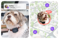 Image of Life360 Pet GPS- Black on Waffles the dog with the Left Home Alert and the Life360 map