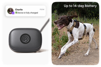 Image of the Life360 Pet GPS - Black being charged and getting the fully charged alert