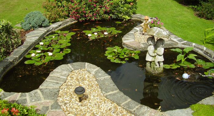 customer-pond.jpg