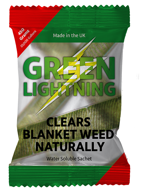 green-lightning.jpg