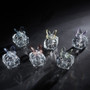 Acrylic Butterfly Boxes 12 PCS